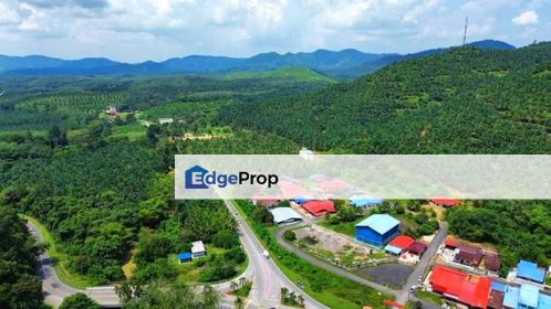 Kuala Pilah, Negeri Sembilan 220.18 Acres Agricultural Land For Sale SPACIOUS, Negeri Sembilan, Kuala Pilah