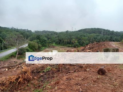 BELOW MARKET 9.54 Acre Agricultural Land Pedas, Rembau Negeri Sembilan, Negeri Sembilan, Rembau