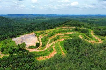 Rembau, Negeri Sembilan 19.65 Acres Agricultural Land For Sale SPACIOUS