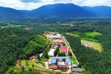 Rembau, Negeri Sembilan 19.65 Acres Agricultural Land For Sale SPACIOUS