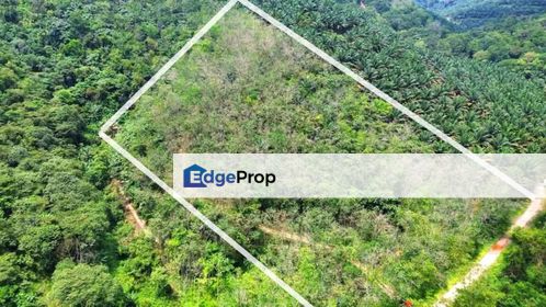 Kuala Pilah, Negeri Sembilan 10 Acres Agricultural Land For Sale SPACIOUS, Negeri Sembilan, Kuala Pilah