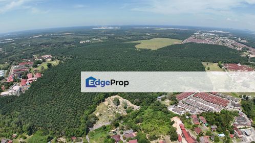 Bandar Jasin, Melaka 223 Acres Agricultural Land For Sale SPACIOUS, Melaka, Jasin