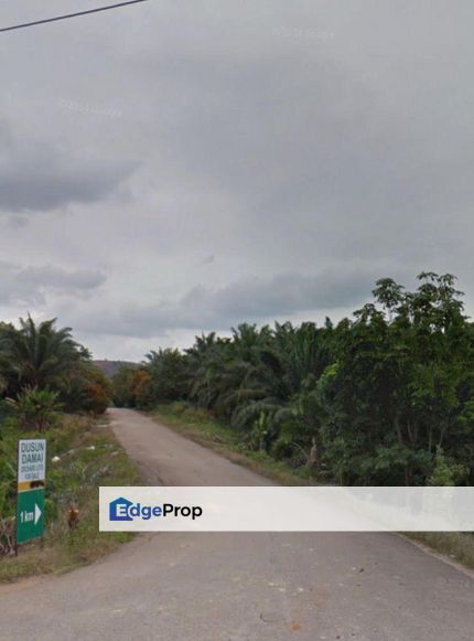 Kampung Baru Sedenak, Kulai, Johor 1,138 Acres Agricultural Land For Sale SPACIOUS, Johor, Kulai