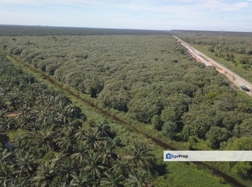 TANAH INDUSTRI UNTUK DIJUAL – SEPANG, SELANGOR, Selangor, Sepang