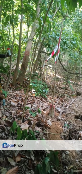 SEA-FACING LAND, TELUK TEMPOYAK, PENANG, Penang, Seberang Perai