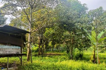 Tangkak, Johor 3 Acres Agricultural Land For Sale CHEAPEST SPACIOUS