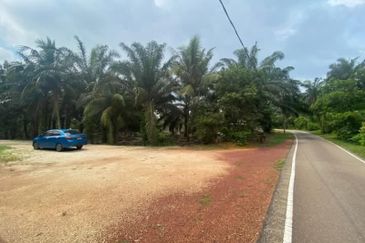 Pekan Muar