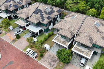 Vittaria, Setia Eco Glades