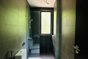 Vittaria, Setia Eco Glades