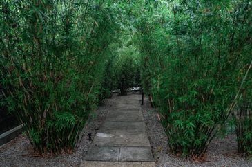 Seksyen 7, Kota Damansara