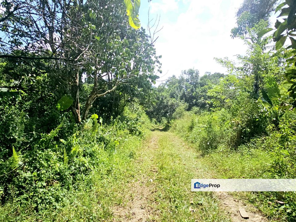 Kampung Sungai Lui, Hulu Langat 8 Acres Agricultural Land For Sale SPACIOUS, Selangor, Hulu Langat