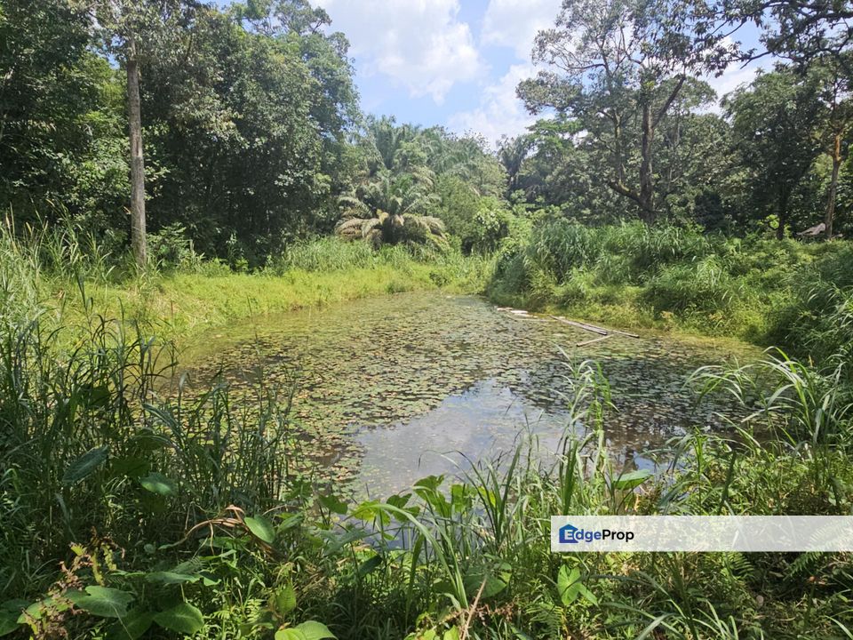 Kampung Sungai Lui, Hulu Langat 8 Acres Agricultural Land For Sale SPACIOUS, Selangor, Hulu Langat