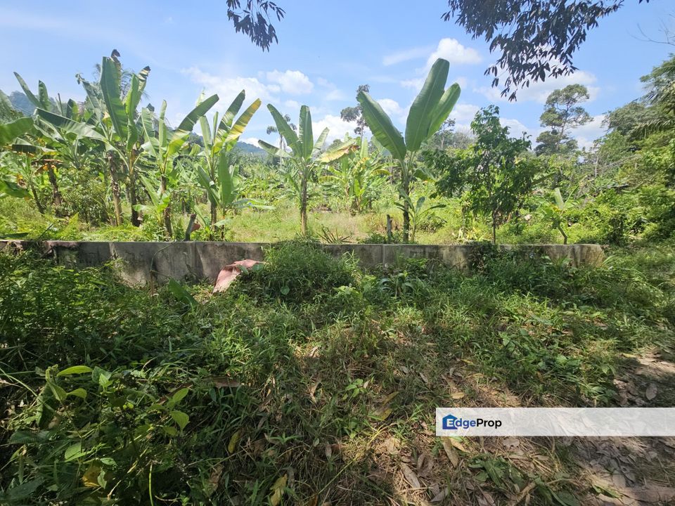 Kampung Sungai Lui, Hulu Langat 8 Acres Agricultural Land For Sale SPACIOUS, Selangor, Hulu Langat