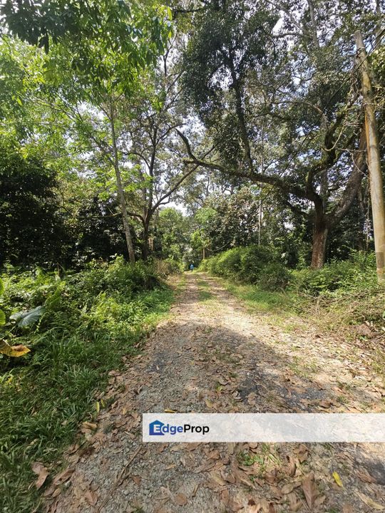 Kampung Sungai Lui, Hulu Langat 8 Acres Agricultural Land For Sale SPACIOUS, Selangor, Hulu Langat