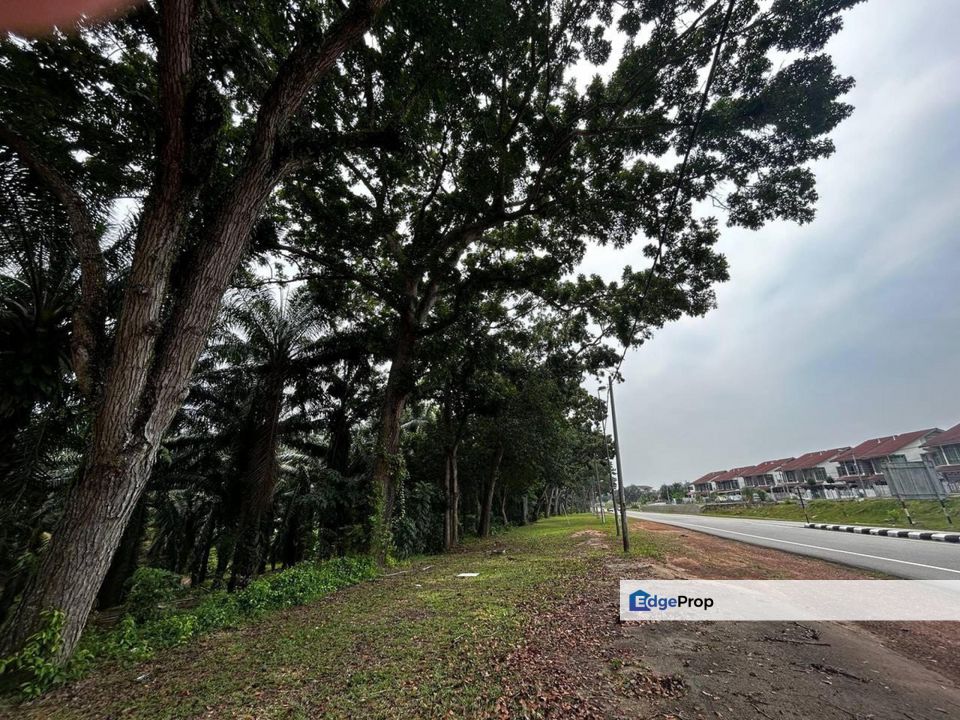 Jasin, Melaka 51 Acres Residential Land For Sale BELOW MARKET SPACIOUS, Melaka, Jasin
