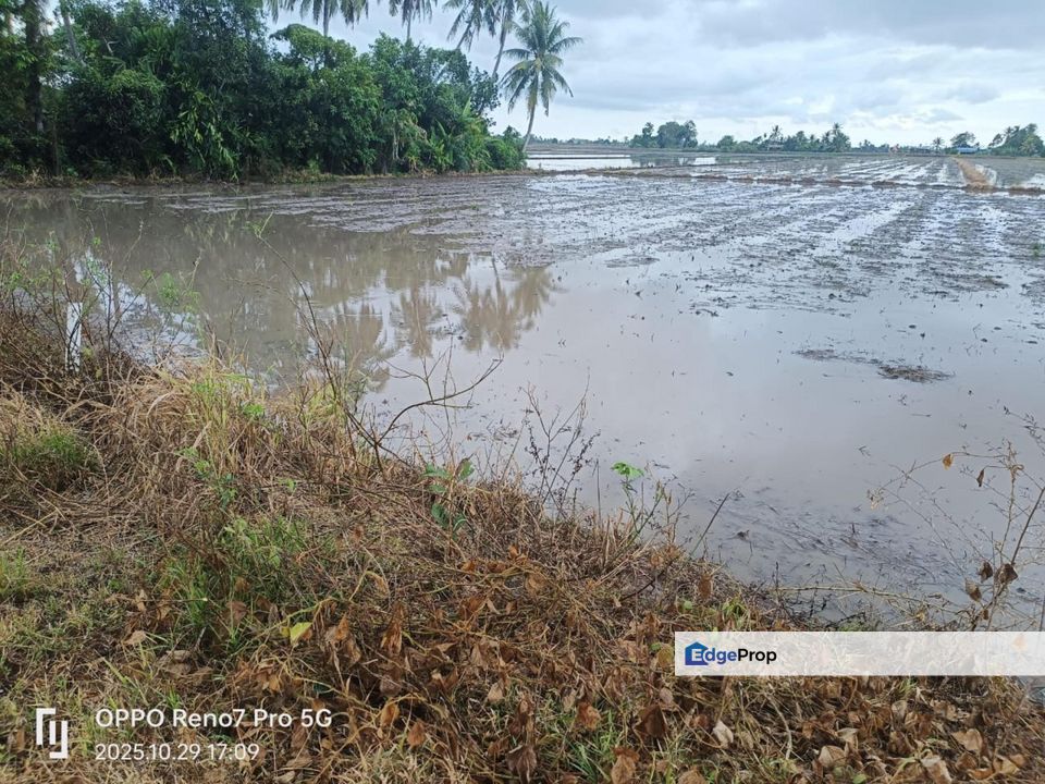 PIDA 4, Jitra, Kedah 4.9 Acres Agricultural Land For Sale SPACIOUS, Kedah, Kubang Pasu