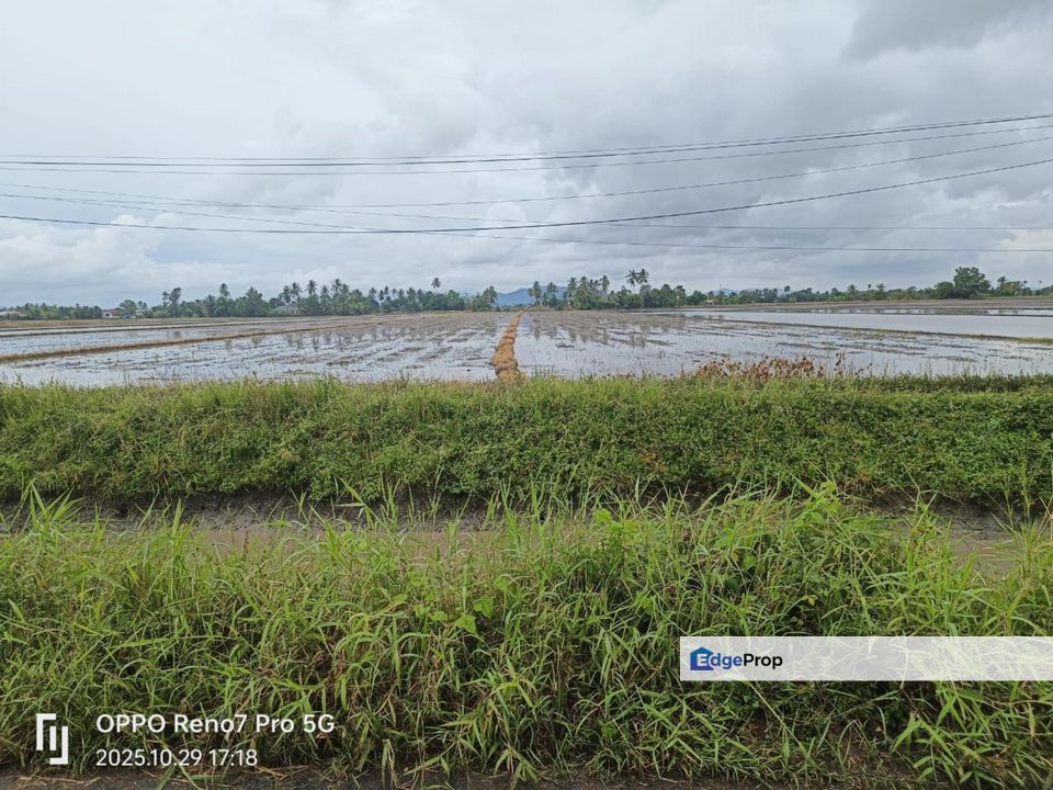 PIDA 4, Jitra, Kedah 4.9 Acres Agricultural Land For Sale SPACIOUS, Kedah, Kubang Pasu