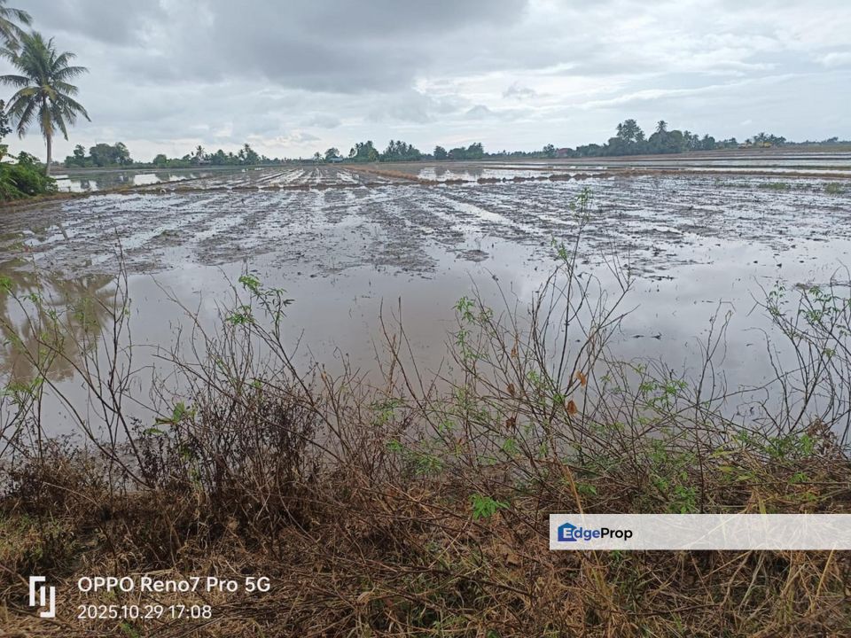 PIDA 4, Jitra, Kedah 4.9 Acres Agricultural Land For Sale SPACIOUS, Kedah, Kubang Pasu