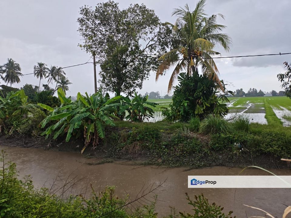 PIDA 4, Jitra, Kedah 4.9 Acres Agricultural Land For Sale SPACIOUS, Kedah, Kubang Pasu