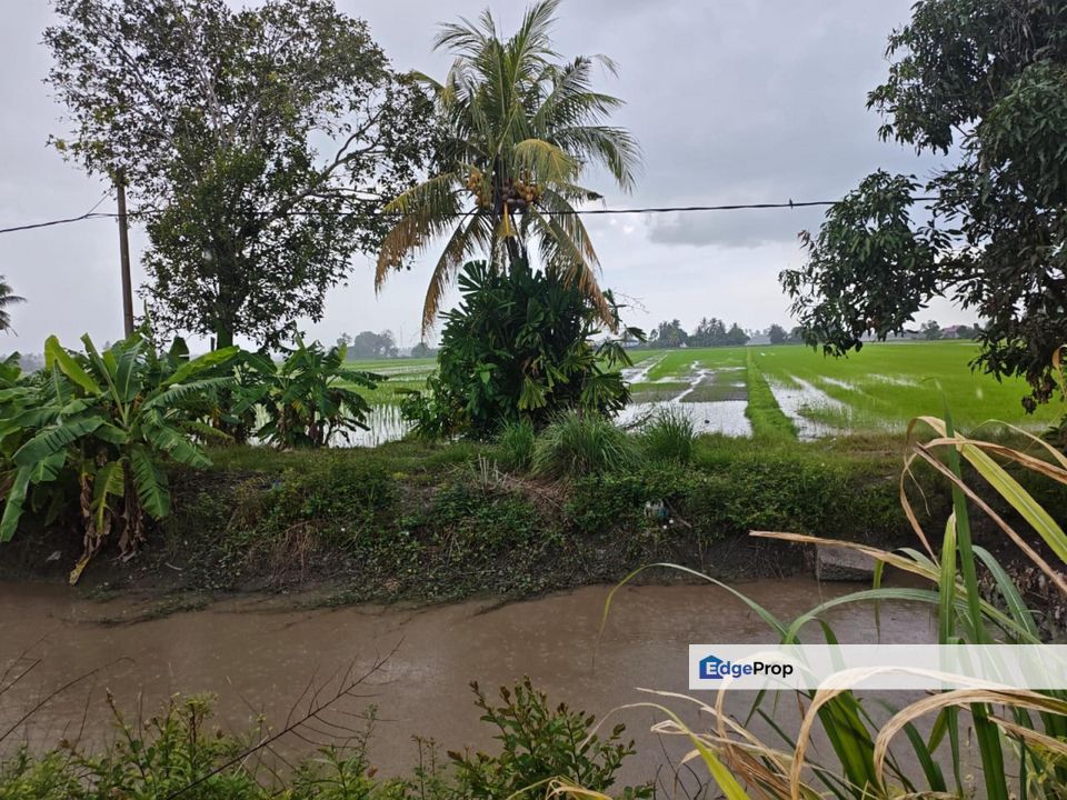 PIDA 4, Jitra, Kedah 4.9 Acres Agricultural Land For Sale SPACIOUS, Kedah, Kubang Pasu