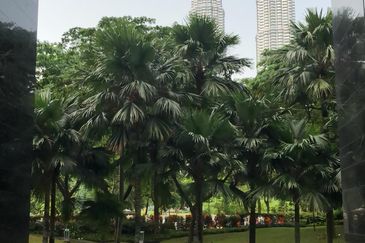 The Binjai on The Park