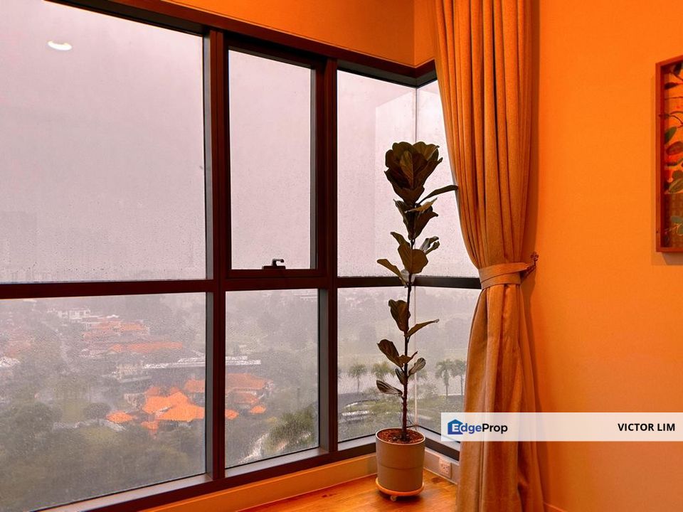 Dianthus @ Tropicana Gardens, Selangor, Tropicana