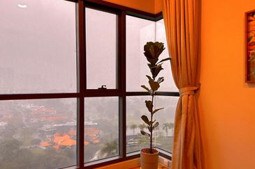 Dianthus @ Tropicana Gardens