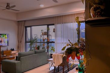 Dianthus @ Tropicana Gardens