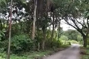 Pulau Langkawi land for sale 4.343 acres (Kuah area)