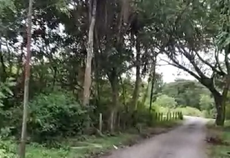 Pulau Langkawi land for sale 4.343 acres (Kuah area)