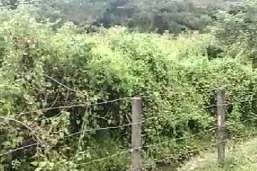 Pulau Langkawi land for sale 4.343 acres (Kuah area)