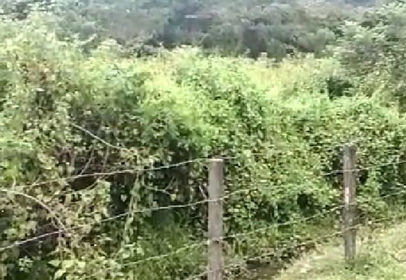 Pulau Langkawi land for sale 4.343 acres (Kuah area)