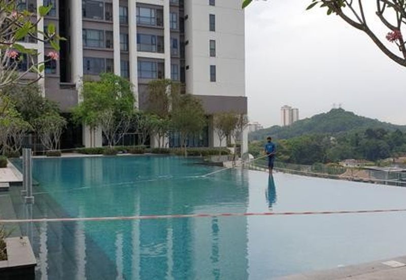 Arnica @ Tropicana Gardens