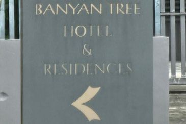 Banyan Tree