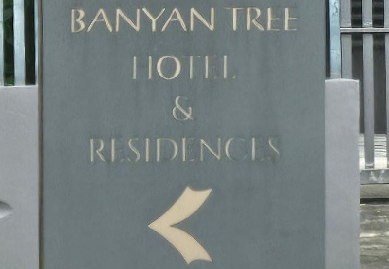 Banyan Tree