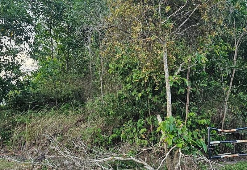 TAMAN DURIAN TUNGGAL