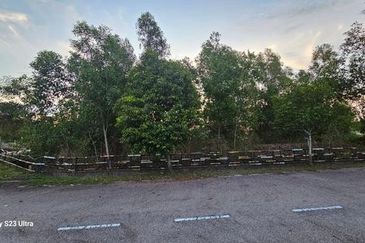 TAMAN DURIAN TUNGGAL