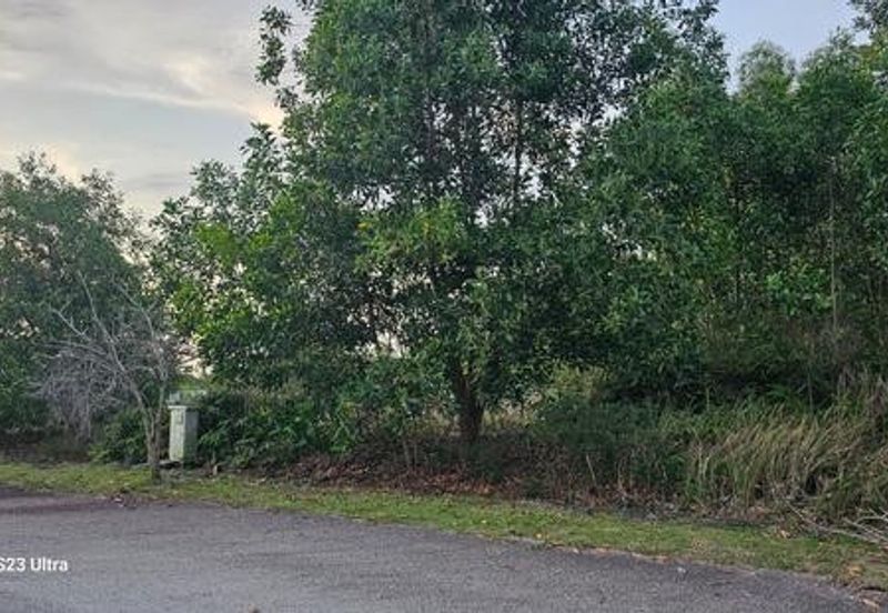 TAMAN DURIAN TUNGGAL