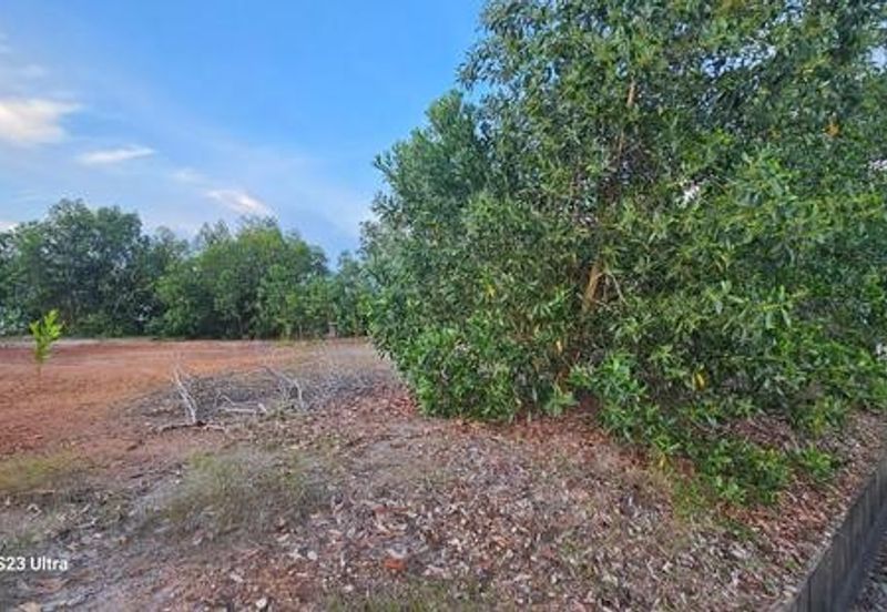 TAMAN DURIAN TUNGGAL