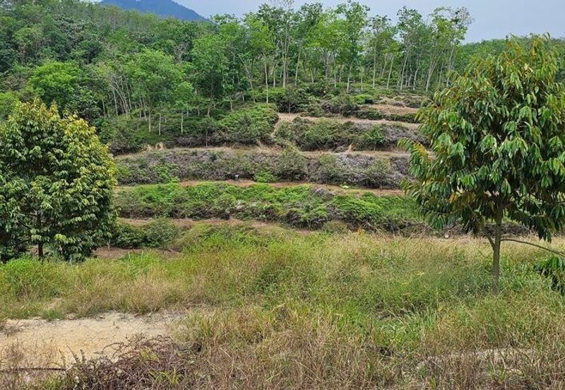 Kerling Industrial Land