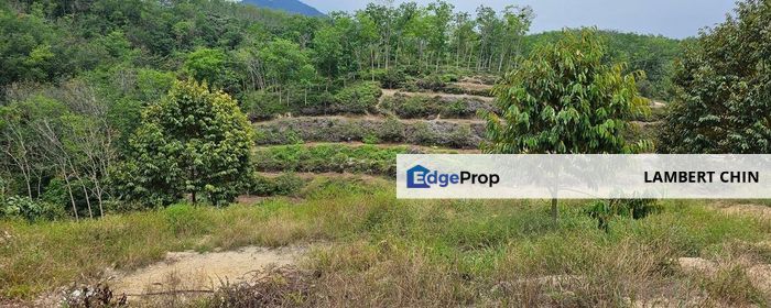 Kerling Selangor Agricultural Land For Sale, Selangor, Kerling