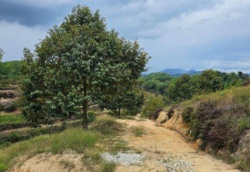 Kerling Industrial Land