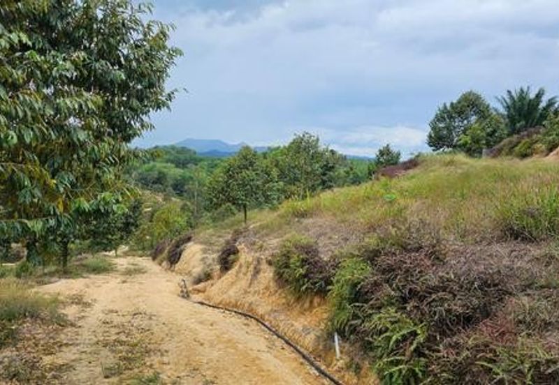 Kerling Industrial Land