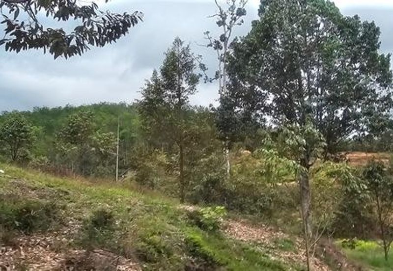 Kerling Industrial Land