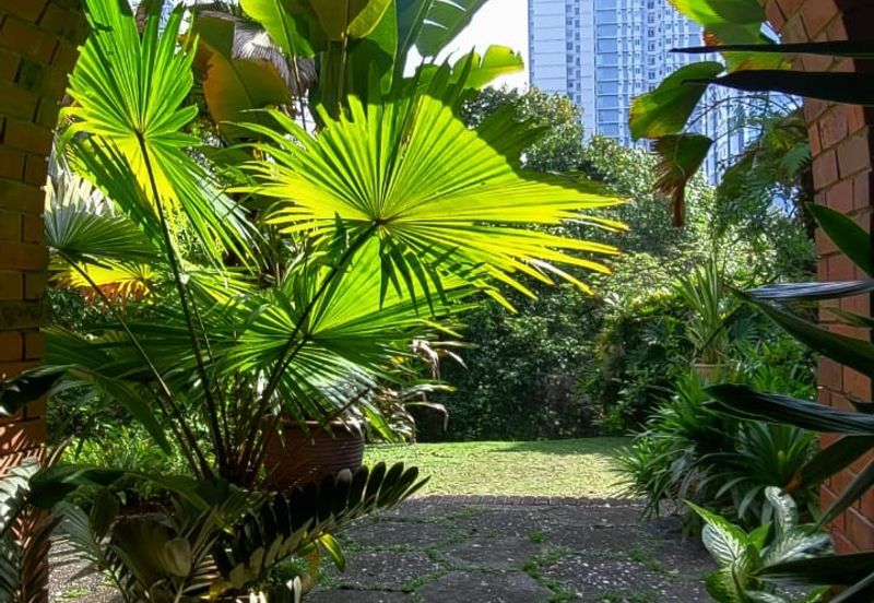 Bukit Segambut