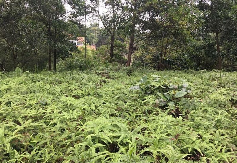 Country Heights Damansara