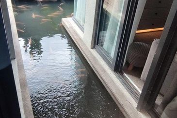 Damansara Heights (Bukit Damansara)