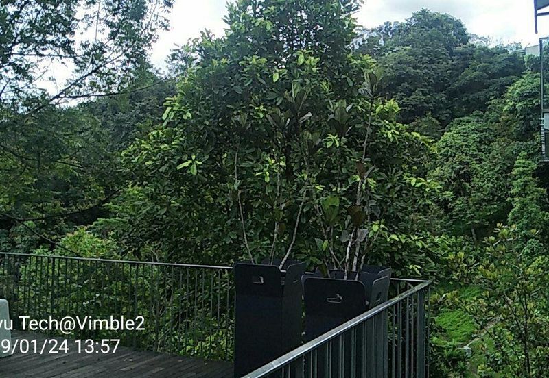 The Mansions @ Parkcity Heights