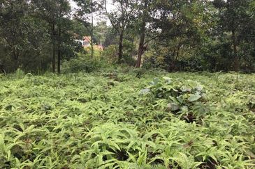 Country Heights Damansara