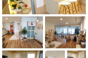 Taragon Puteri Bintang